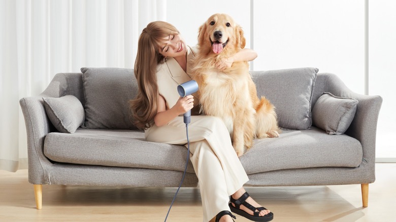 Woman sitting on couch and blow drying her dog with Laifen Swift Special hair dryer
