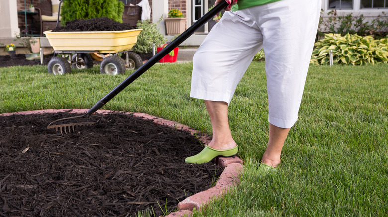 Woman raking the mulch in her front yard with a garden rake.