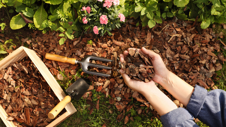 Woman laying fresh mulch in garden.