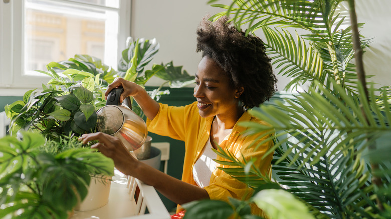 Woman waters houseplants