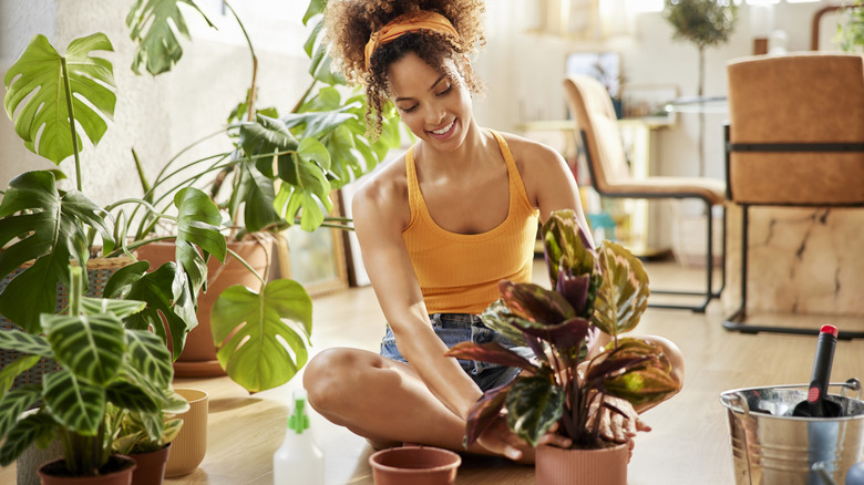 Woman potting houseplant