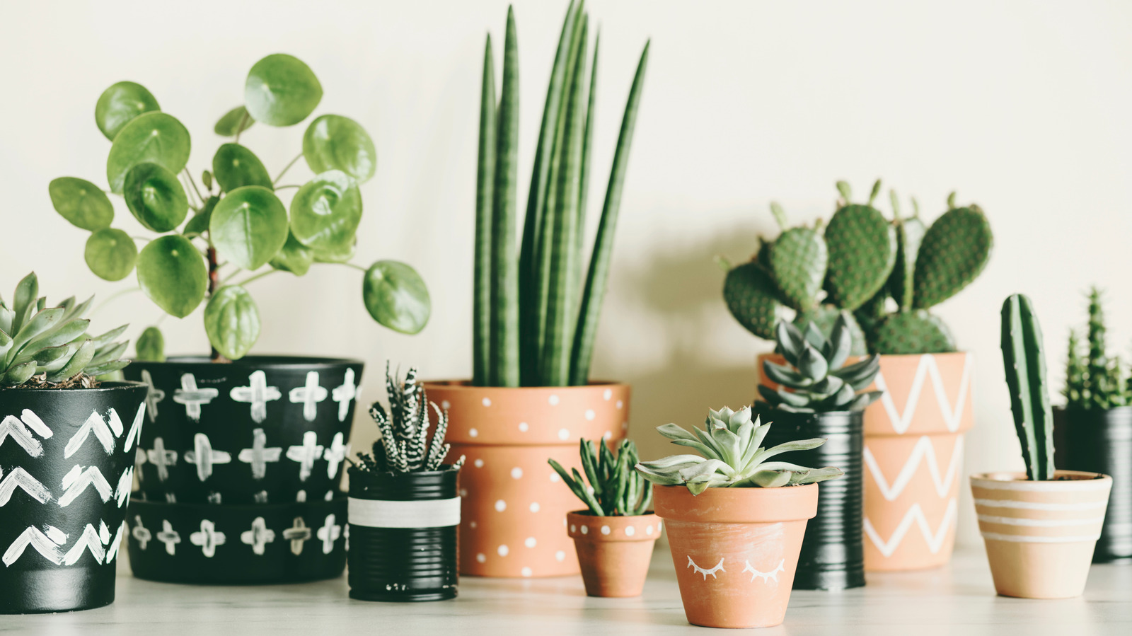 This Simple DIY Turns Leftover Scrap Wood Into A Space-Saving Plant Display