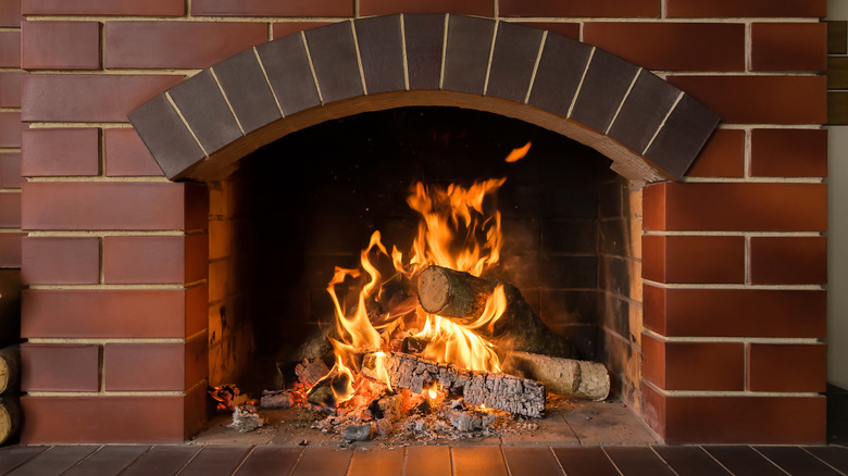 Fireplace burning wood logs
