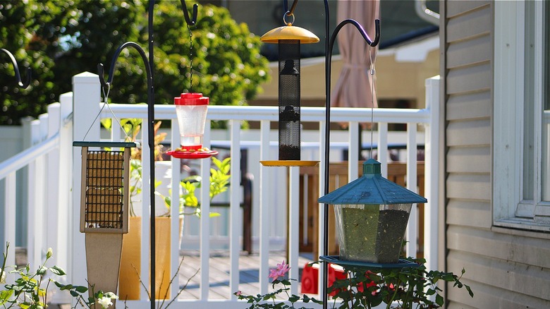 Different bird feeders outside house