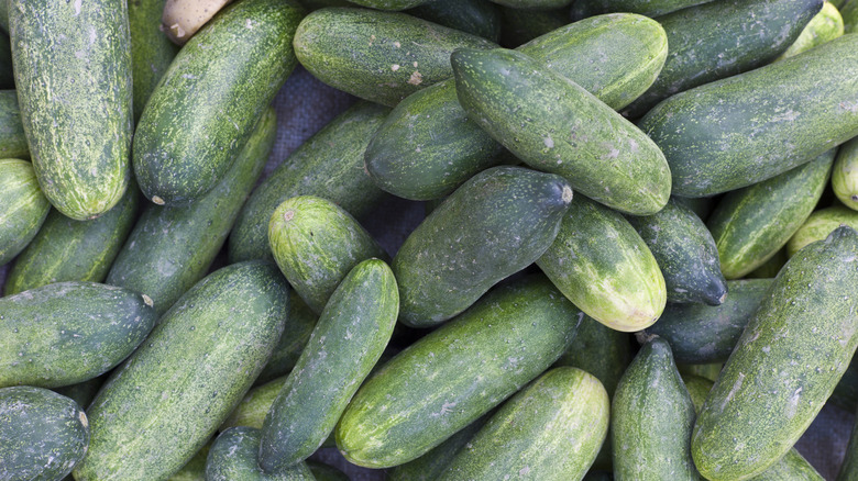 Cucumbers
