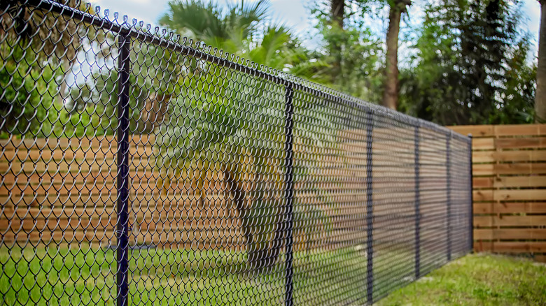 Chain link fence in yard