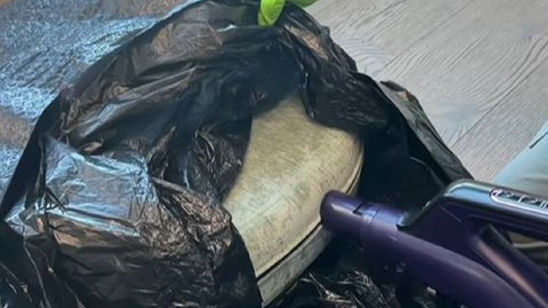 Man showing DIY couch cushion deodorizing hack with vinegar and trash bag