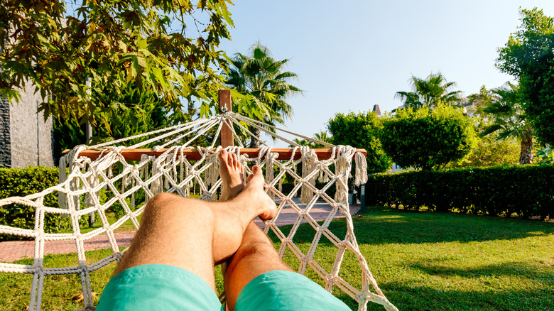 Person resting in a hammock suspended in a backyard with hedges and trees.