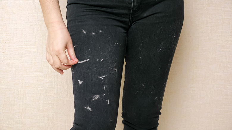 Woman picking fur off trousers.