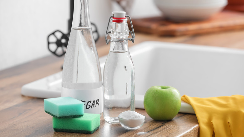 Vinegar, baking soda, and sponges next to kitchen sink