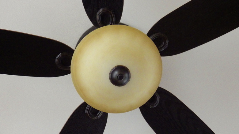 Ceiling fan globe in center of black fan