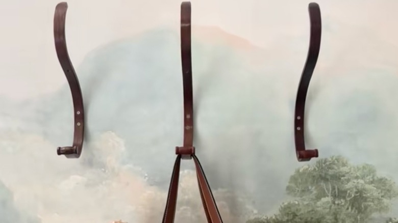 Coat rack hooks hanging on a painted mural wall