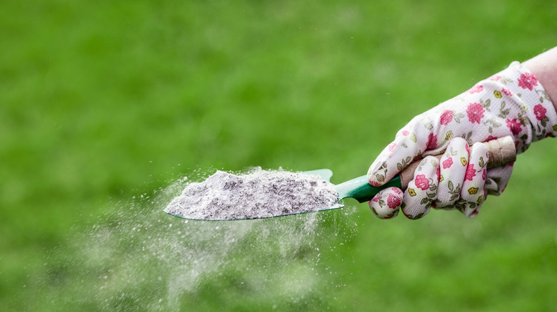 A gardener wearing gloves holding a trowel full of wood ash