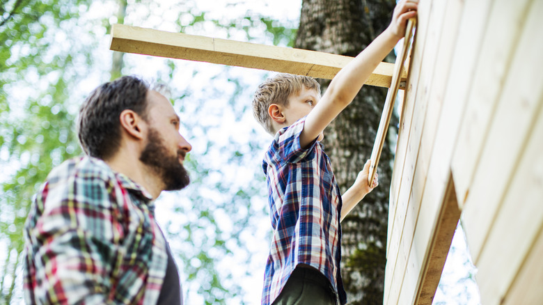 Father and son building a treehouse