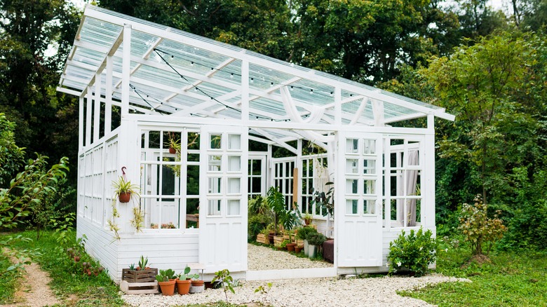 greenhouse built with upcycled materials