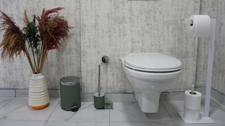 toilet with bulky tissue holder