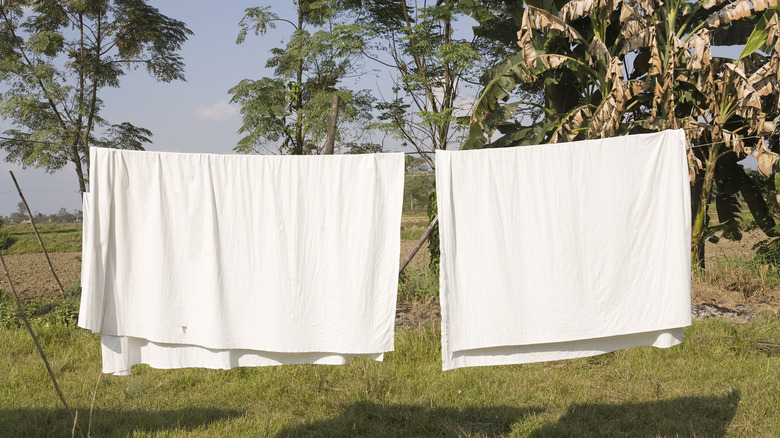 bedding on clothesline