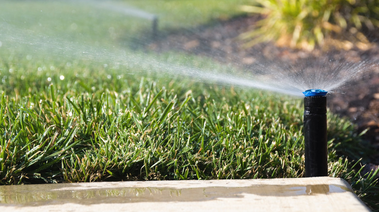 sprinkler spraying grass 