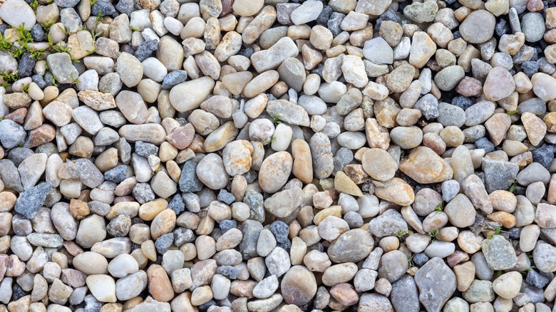 pea gravel close up