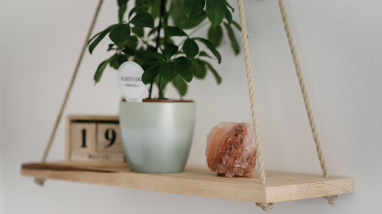 rope hanging shelf with plant 