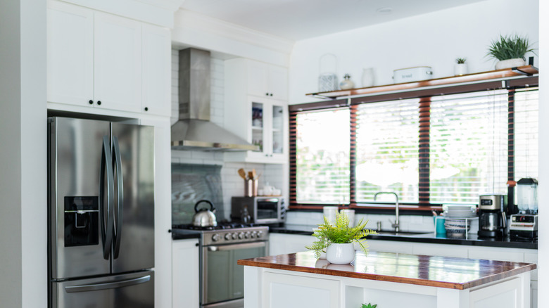 White kitchen with plants