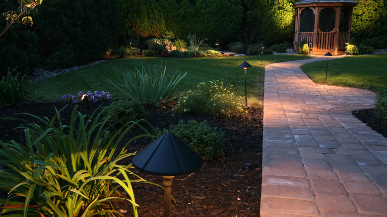 Landscaped garden with lighting
