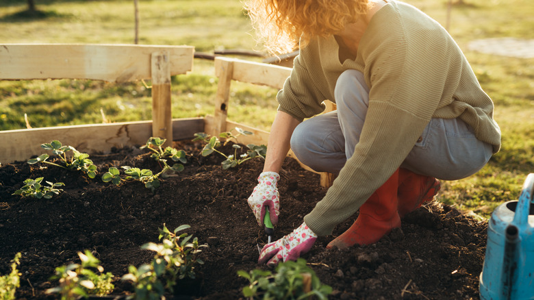 woman with hands in garden