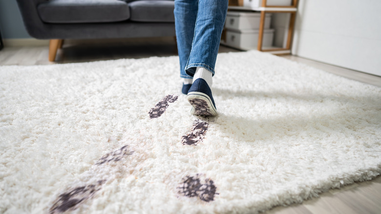 person walking on carpet