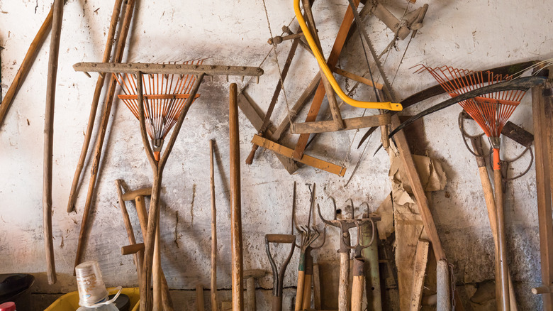 Disorganized garden tools