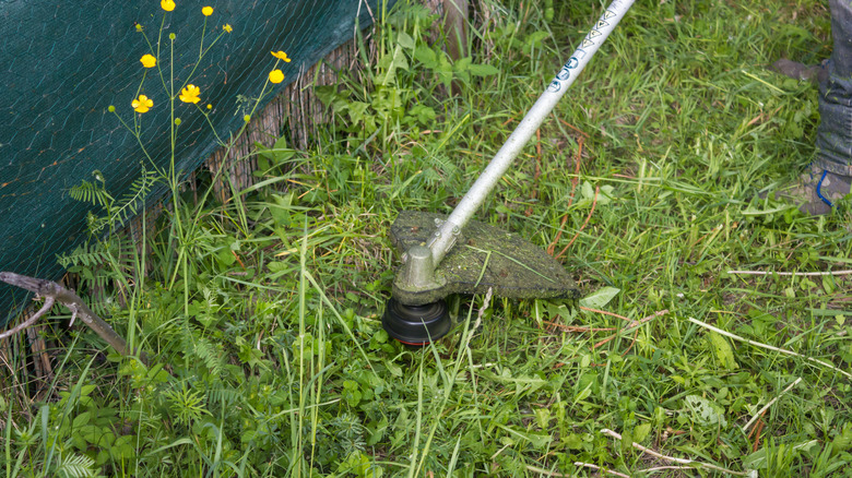 Weed whacker