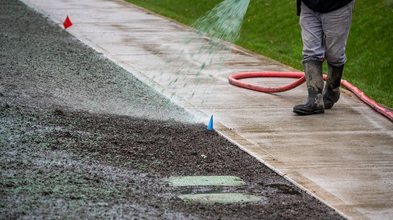 person hydroseeding a residential lawn