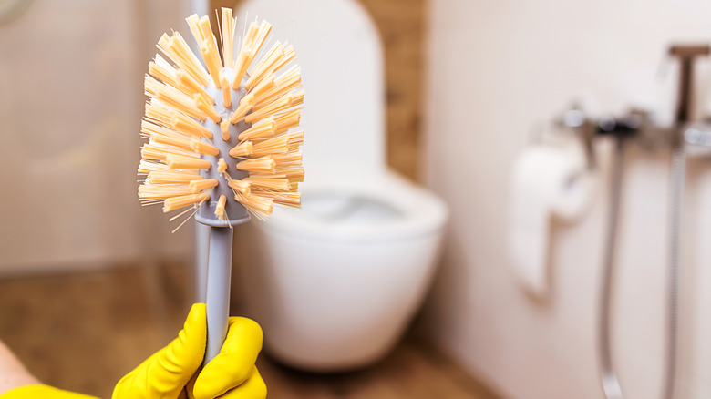 Someone holding a toilet brush