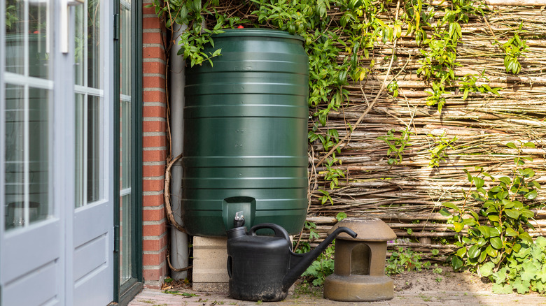 rain barrel beside house