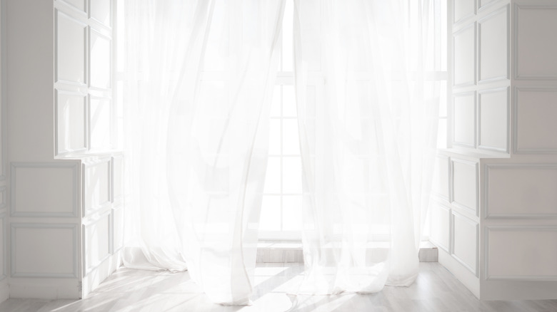 Backlit white billowing curtains 
