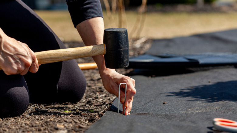 A person laying landscape fabric