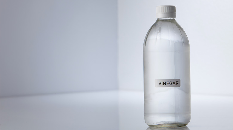 Bottle of vinegar