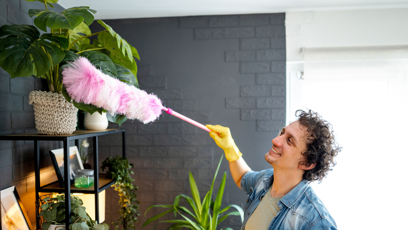 Ostrich Feather Duster - Delicate Dusting - Stylish Home Essential