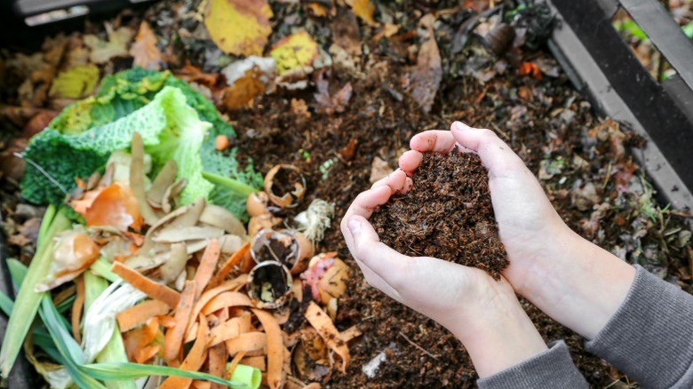Hands in the compost bin
