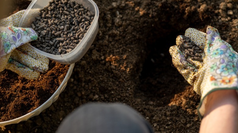 Hands adding fertilizer to soil