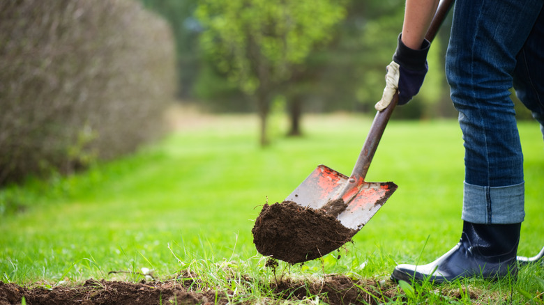 Person shoveling dirt