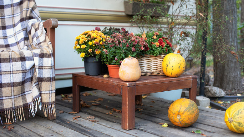 A fall porch display with potted flowering chrysanthemums and pumpkins.