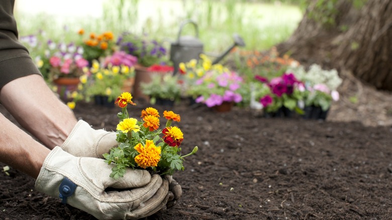 person putting flowers on bed