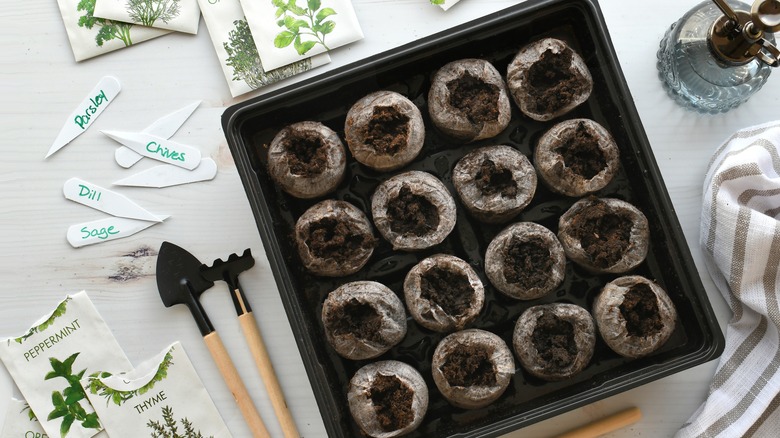 seed starting supplies
