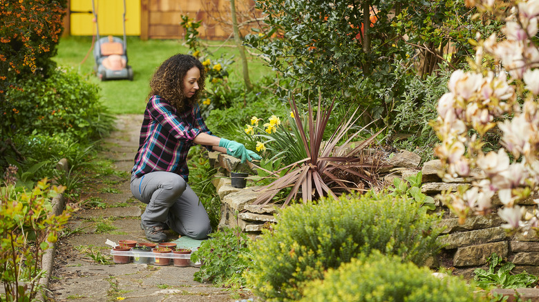 Weeding garden