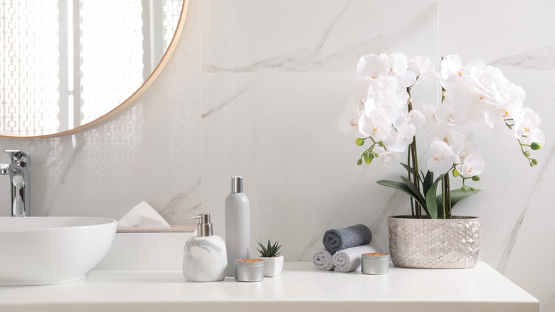 Clean, beautiful bathroom counter