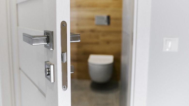Bathroom door and knob 