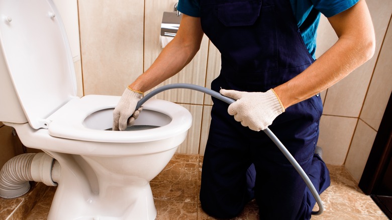 Plummer unclogging toilet