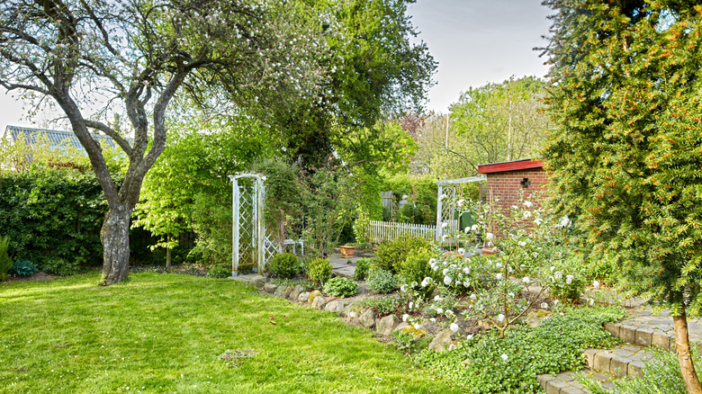 Different kinds of trees and bushes growing in a garden