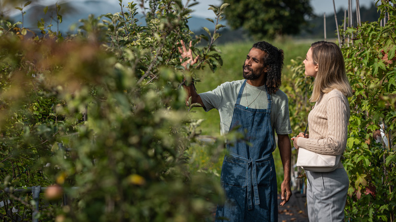 Woman looking at trees at a nursery with a male attendant helping her
