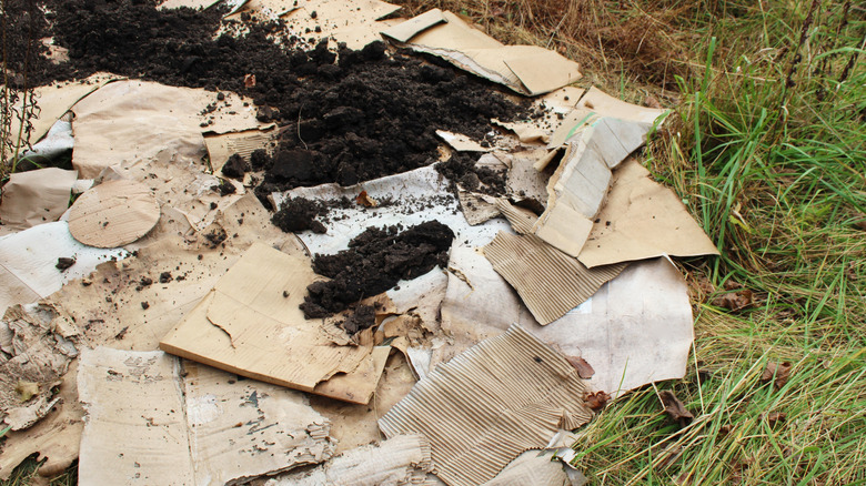 Cardboard applied over weeds to suppress them